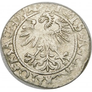 Zygmunt II August, Półgrosz 1560, Wilno – DV L/LITVA – b. rzadki