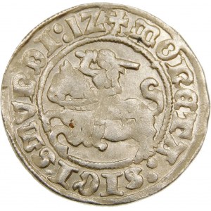 Zygmunt I Stary, Półgrosz 1512, Wilno – ukośny dwukropek, czterokropek