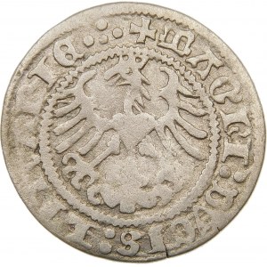 Zygmunt I Stary, Półgrosz 1513, Wilno – czterokropki – b. rzadki