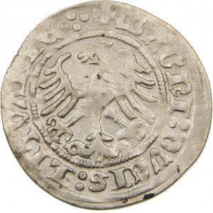 Zygmunt I Stary, Półgrosz 1513, Wilno – Pierścień – czterokropek – rzadki