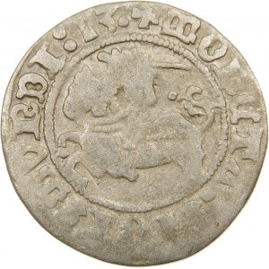 Zygmunt I Stary, Półgrosz 1513, Wilno – Pierścień – dwukropki – rzadki