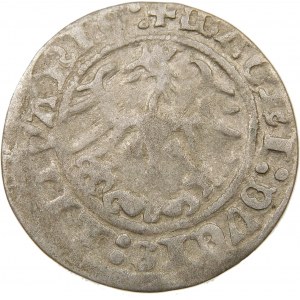 Zygmunt I Stary, Półgrosz 1513, Wilno – Pierścień – dwukropki – rzadki