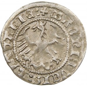 Zygmunt I Stary, Półgrosz 1513, Wilno – dwukropek