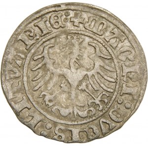 Zygmunt I Stary, Półgrosz 1513, Wilno – ukośny dwukropek, dwukropki