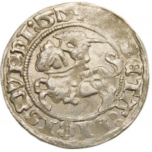 Zygmunt I Stary, Półgrosz 1515, Wilno – dwukropek