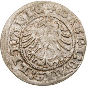 Zygmunt I Stary, Półgrosz 1517, Wilno – błąd, SIGSMVNDI – b. rzadki