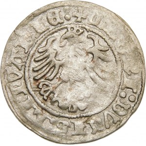 Zygmunt I Stary, Półgrosz 1517, Wilno – trzykropek, dwukropek – rzadki