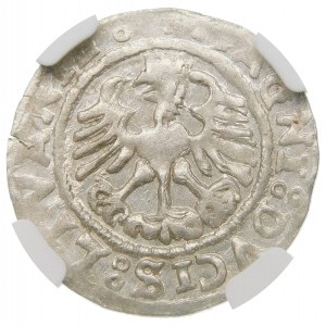 Zygmunt I Stary, Półgrosz 1527, Wilno – błąd, LTVANIE – nieopisany