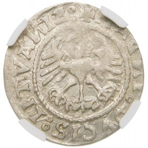 Zygmunt I Stary, Półgrosz 1529, Wilno – V – błąd, STGISMVNDI – b. rzadki