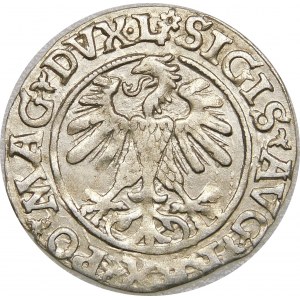 Zygmunt II August, Półgrosz 1560, Wilno – DVX•L/LITVA – rozeta – b. rzadki