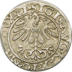 Zygmunt II August, Półgrosz 1561, Wilno – LI/LITVA – A bez poprzeczki – nieopisany