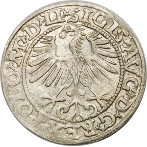 Zygmunt II August, Półgrosz 1563, Wilno – 20 Pogoń, Topór, M D LI/LITVA