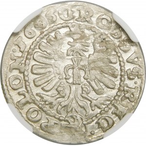 Zygmunt III Waza, Grosz 1606, Kraków – ciekawostka