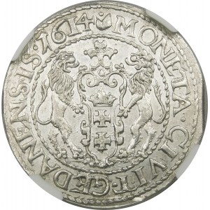Zygmunt III Waza, Ort 1614, Gdańsk – kropka nad łapą – rzadki i piękny