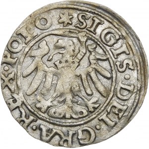 Zygmunt I Stary, Szeląg 1546, Gdańsk