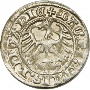 Zygmunt I Stary, Półgrosz 1513, Wilno – dwukropek – piękny