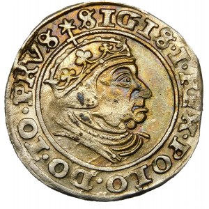 Zygmunt I Stary, Grosz 1540, Gdańsk – PRVS