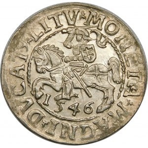 Zygmunt II August, Półgrosz 1546, Wilno – nowy typ Orła – LI/LITV – wyśmienity