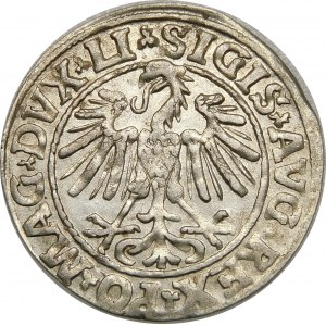 Zygmunt II August, Półgrosz 1547, Wilno – LI/LITVA – mniejsze A – rzadka i piękna