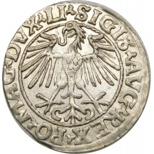 Zygmunt II August, Półgrosz 1548, Wilno – arabska 1, LI/LITVA – wyśmienity