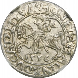 Zygmunt II August, Półgrosz 1556, Wilno – LI/LITVA