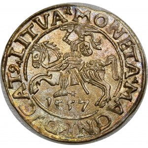 Zygmunt II August, Półgrosz 1557, Wilno – L/LITVA