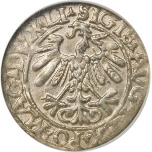Zygmunt II August, Półgrosz 1558, Wilno – LI/LITVA