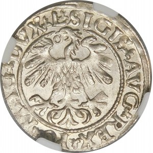 Zygmunt II August, Półgrosz 1559, Wilno – L/LITVA – piękny