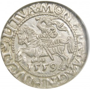 Zygmunt II August, Półgrosz 1559, Wilno – L/LITVA