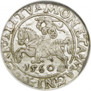 Zygmunt II August, Półgrosz 1560, Wilno – DVX L/LITV