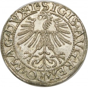 Zygmunt II August, Półgrosz 1562, Wilno – 17 Pogoń, L/LITVA – piękny