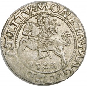 Zygmunt II August, Półgrosz 1562, Wilno – fantazyjny Orzeł