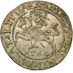 Zygmunt II August, Półgrosz 1564, Wilno – 21 Pogoń, Topór, L/LITVA