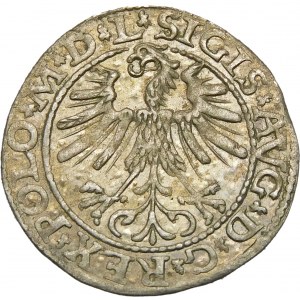 Zygmunt II August, Półgrosz 1564, Wilno – 21 Pogoń, Topór, L/LITVA