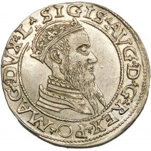 Zygmunt II August, Czworak 1565, Wilno – L/LITV – okazowy