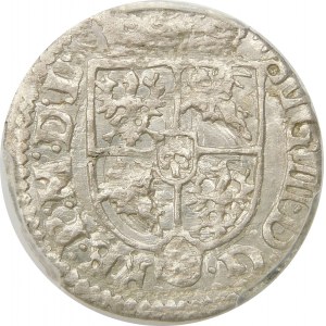 Zygmunt III Waza, Półtorak 1619, Wilno – Wadwicz w tarczy – b. rzadki i piękny