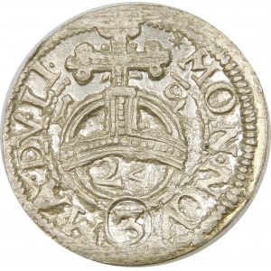Zygmunt III Waza, Półtorak 1619, Wilno – Wadwicz nie w tarczy – rzadki i piękny