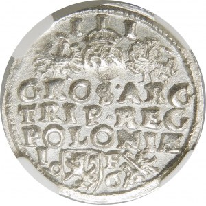 Zygmunt III Waza, Trojak 1596, Lublin – Lewart dzieli datę