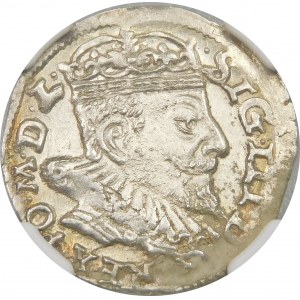 Zygmunt III Waza, Trojak 1593, Wilno – Chalecki z rozetami po bokach