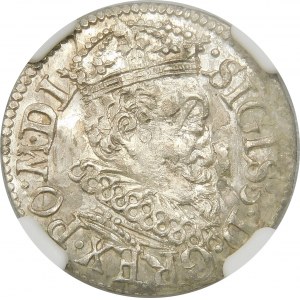 Zygmunt III Waza, Trojak 1619, Ryga – kryza wąska, rurkowata – ozdobniki