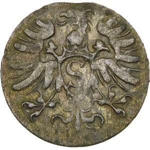 Prusy, Albrecht Fryderyk Hohenzollern, Denar 1571, Królewiec – rozeta dziewięciolistna
