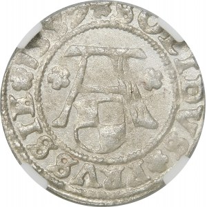 Prusy, Albrecht Hohenzollern, Szeląg 1559, Królewiec