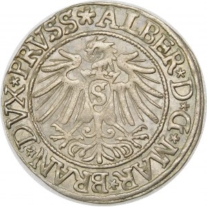 Prusy, Albrecht Hohenzollern, Grosz 1537, Królewiec