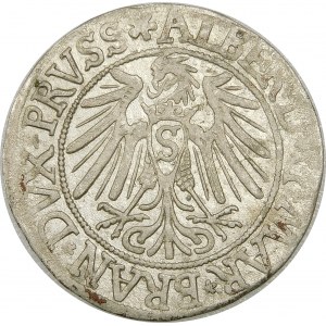 Prusy, Albrecht Hohenzollern, Grosz 1538, Królewiec