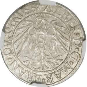 Prusy, Albrecht Hohenzollern, Grosz 1539, Królewiec