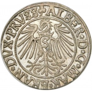 Prusy, Albrecht Hohenzollern, Grosz 1541, Królewiec – piękny