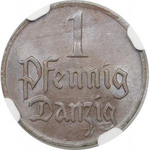 1 fenig 1923