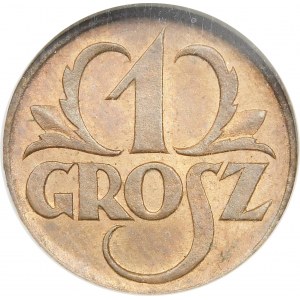 1 grosz 1923