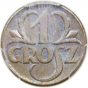 1 grosz 1923