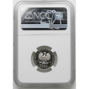 PRÓBA NIKIEL 2000 złotych 1979, Mieszko I – półpostać
